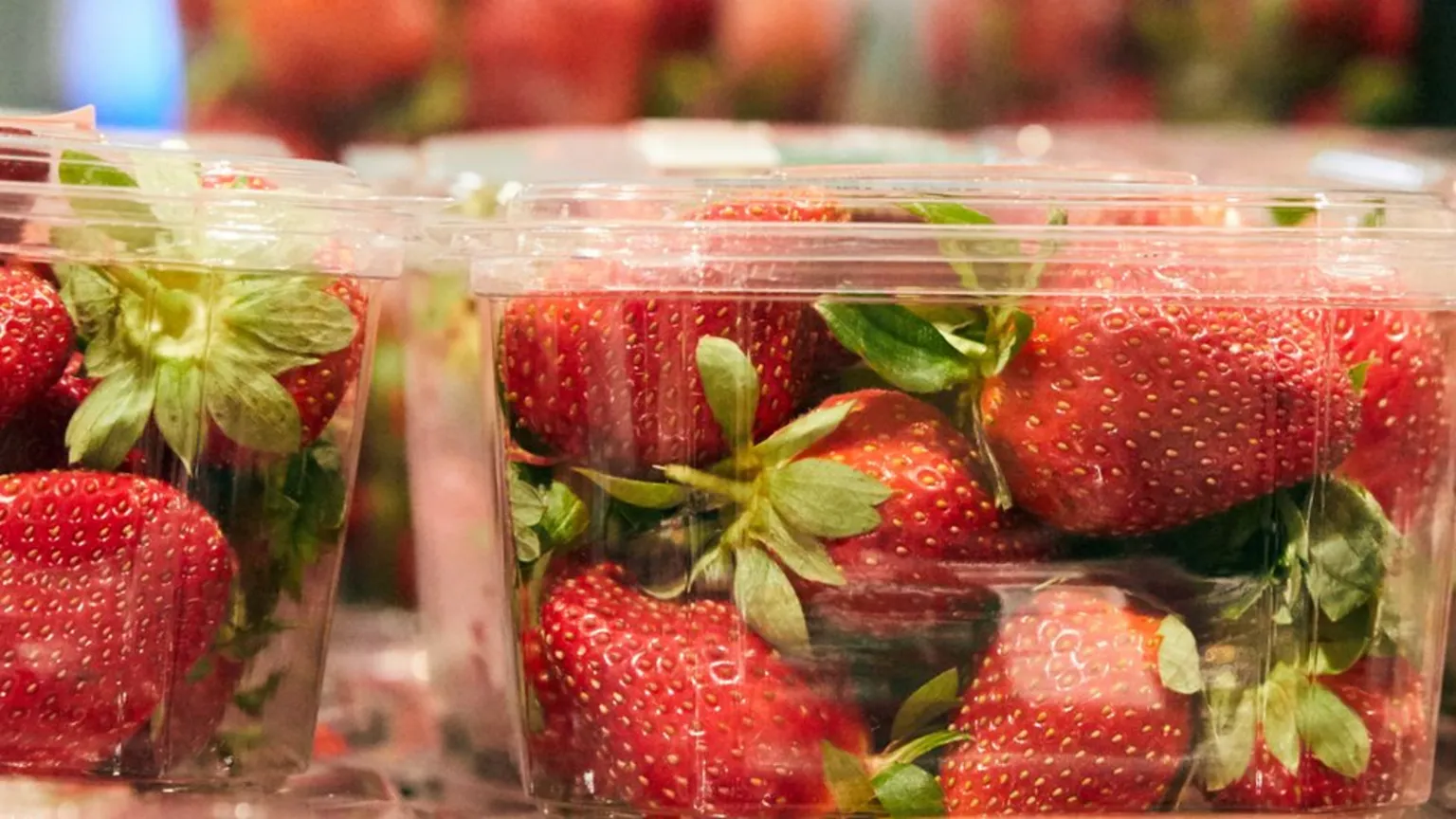 strawberrys